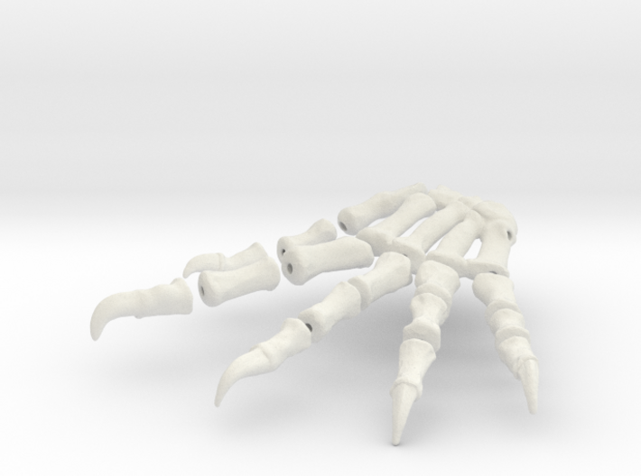 Komodo Right Foot Front 1:5 Scale 3d printed 