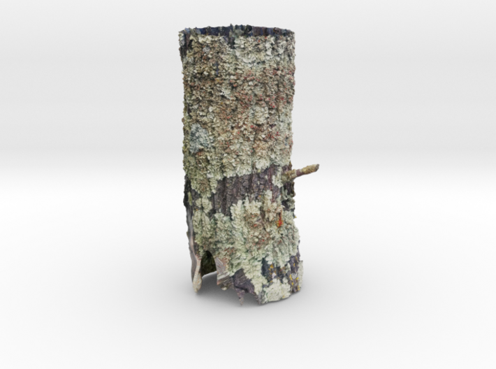 Casuarina Tree Trunk 3d printed