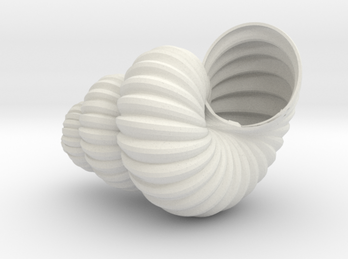 Sea Shell 3d printed