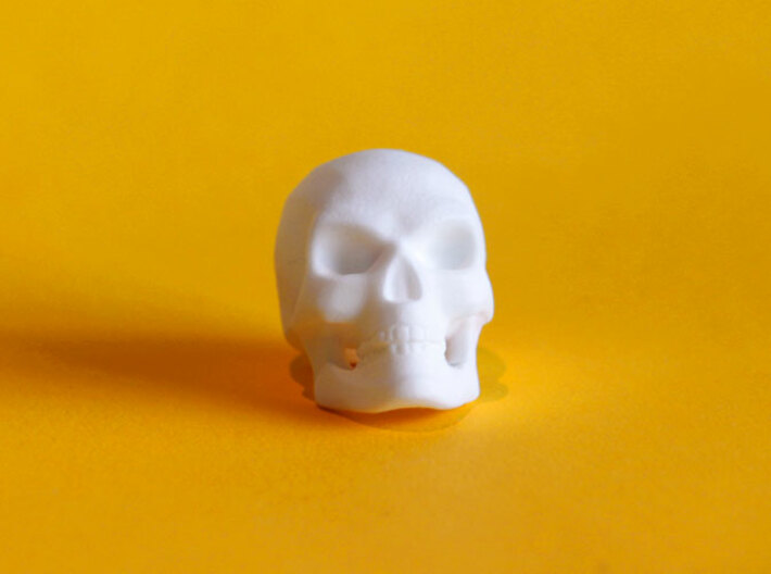 3D Printed Skull - Large 3d printed