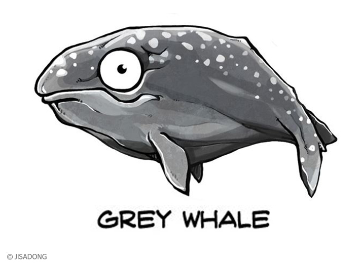 Breedingkit Gray Whale 3d printed