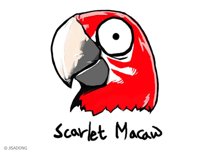 Breedingkit Scarlet Macaw 3d printed
