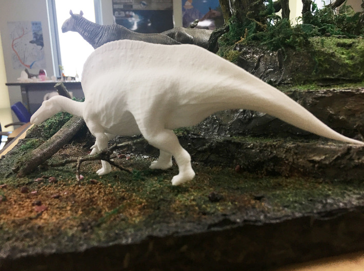 Ouranosaurus (Medium/Large size) 3d printed 