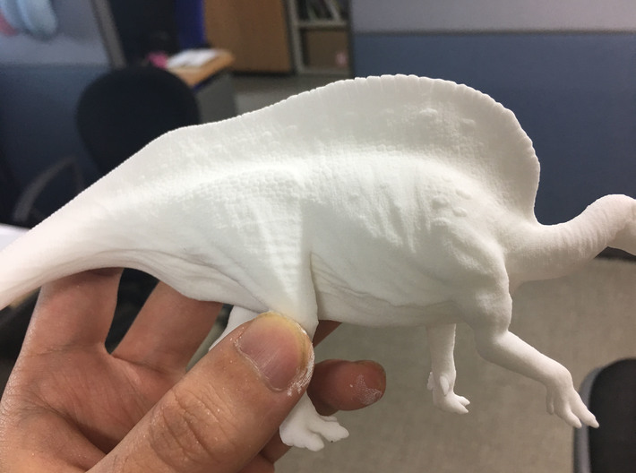 Ouranosaurus (Medium/Large size) 3d printed 