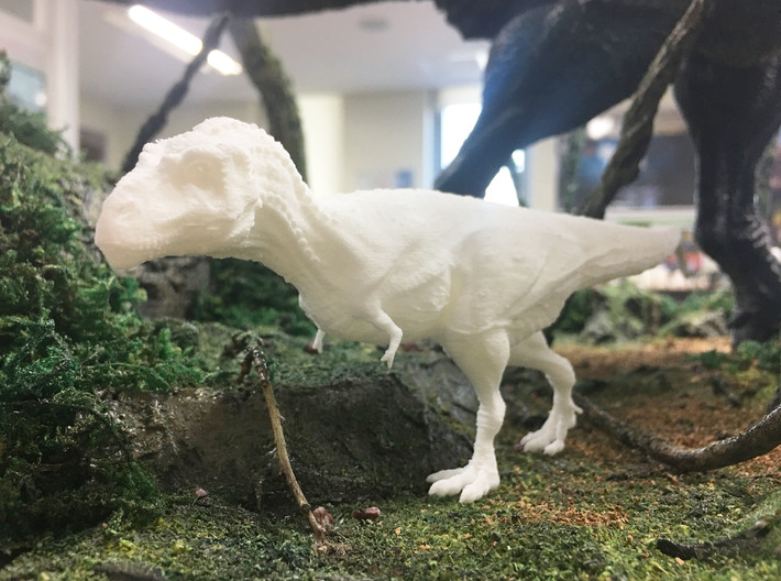 Daspletosaurus (Medium/ Large size) 3d printed