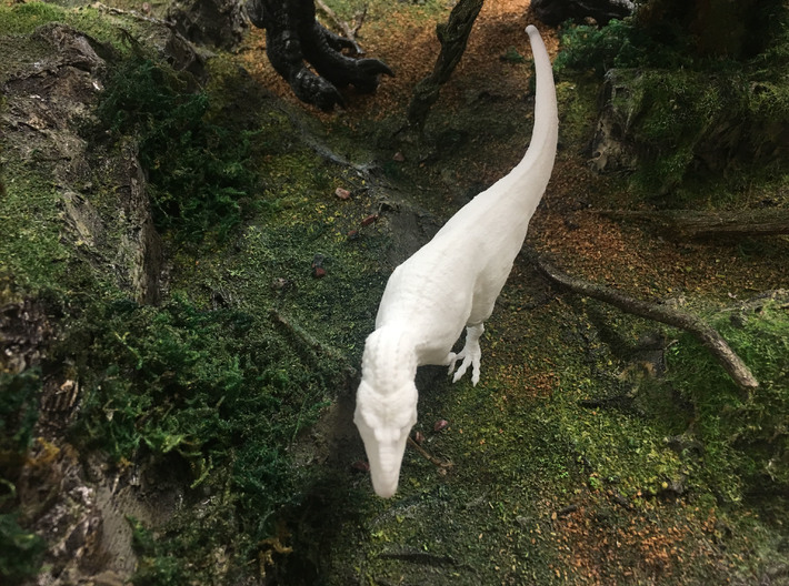 Daspletosaurus (Medium/ Large size) 3d printed 