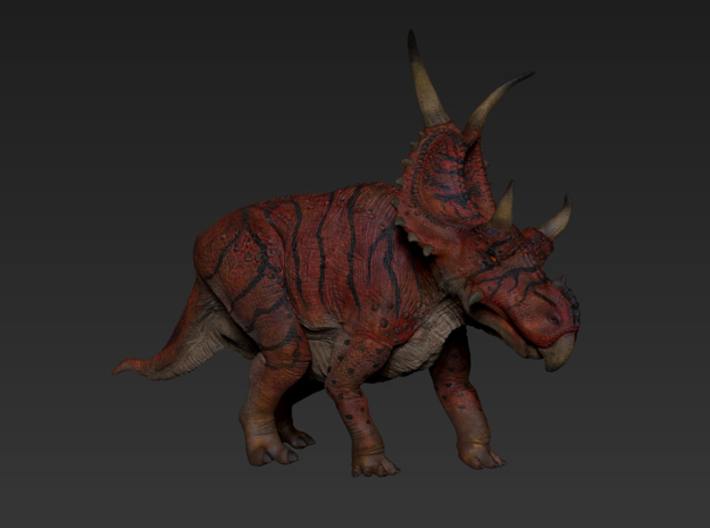 Diabloceratops (Medium / Large size) 3d printed