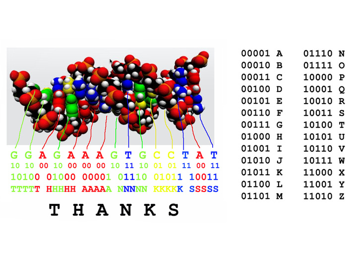 DNA GGAGAAAGTGCCTAT "THANKS" 5pcs 3d printed How the code works.
