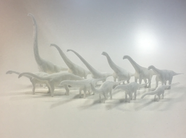 Sauropoda small package 3d printed