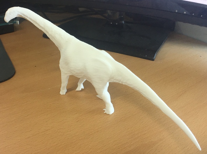 Camarasaurus (Medium / Large size) 3d printed 