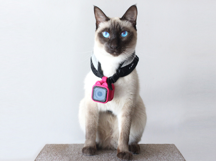 Kitty Cam - Gopro Mount for Pets 3d printed The Kitty Cam fits on any harness or collar