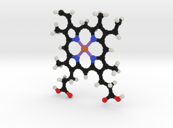 Heme B Molecule Model. 2 Sizes 3d printed