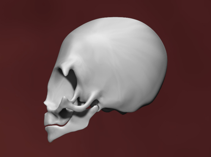 Grey Alien Skull 3d printed 