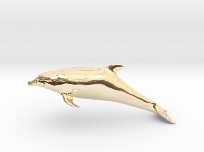 Bottlenose Dolphin (Turiops truncatus) 3d printed