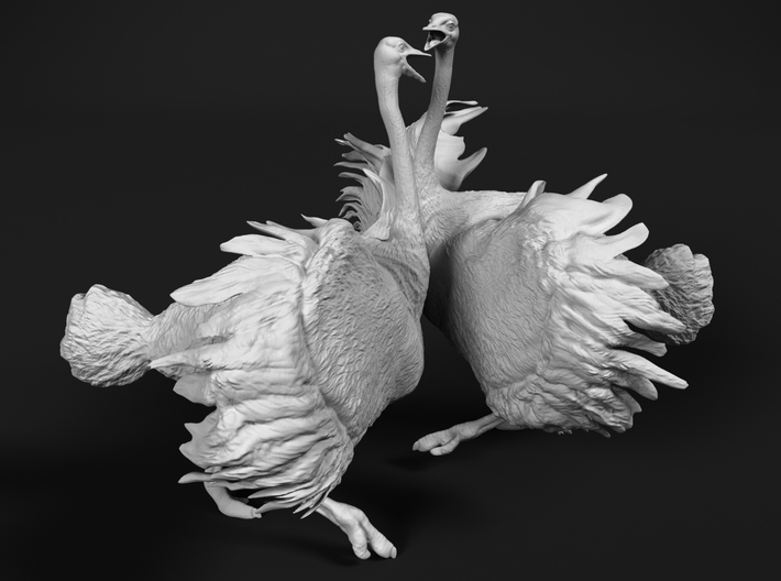 Ostrich 1:87 Fighting Pair 3d printed