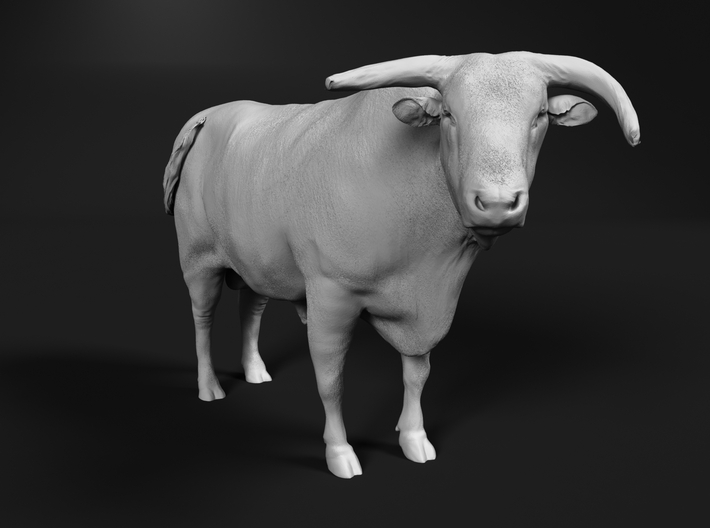 miniNature's 3D printing animals - Update January 5: multiple new models and appearance on Dutch tv - Page 2 710x528_18951622_11081024_1495890864