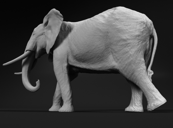 African Bush Elephant 1:22 Walking Male 3d printed 