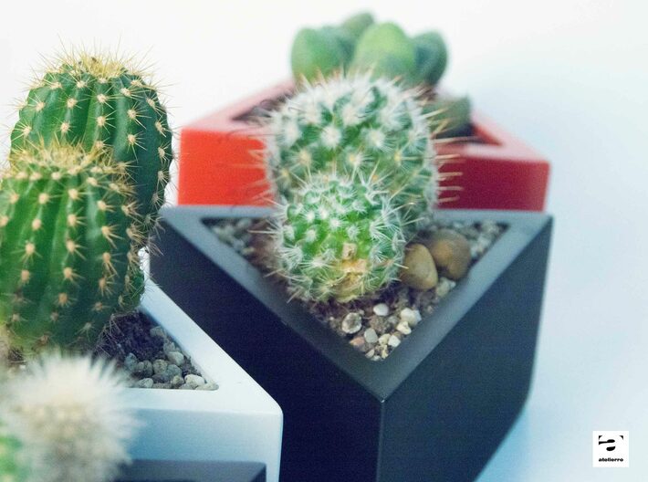Prisma - planter for succulents and cactuses 3d printed Prisma 'S' size with a cactus