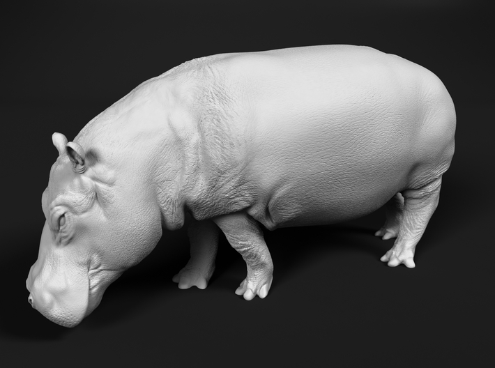 Hippopotamus 1:72 Walking Female 3d printed 