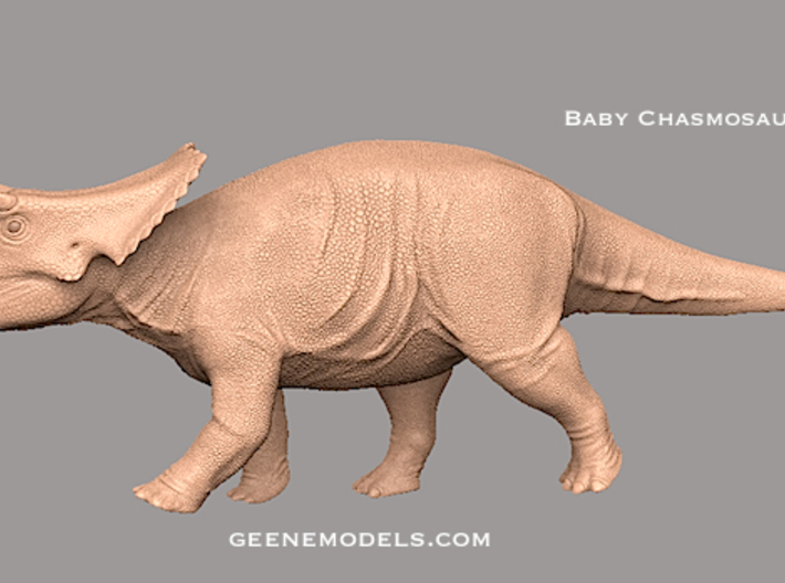 Dinosaur Baby Chasmosaurus 3d printed