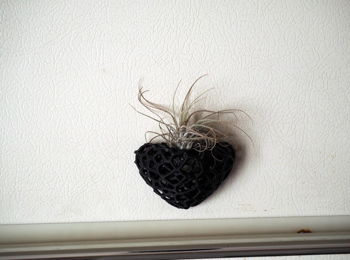 Air Plant Holder for Refrigerator  3d printed 