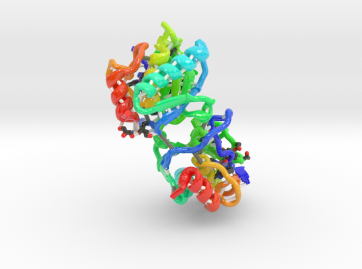 Matrix Metalloproteinase-8 3d printed