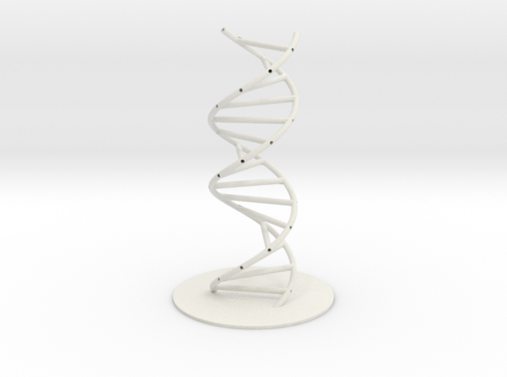 DNA Molecule Hollow, Large, 3 Sizes. 3d printed