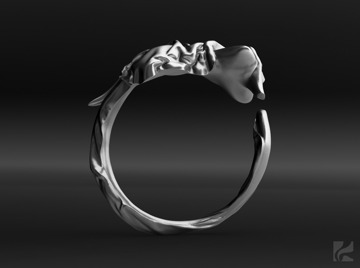 Fabric and Figure Ring 3d printed 