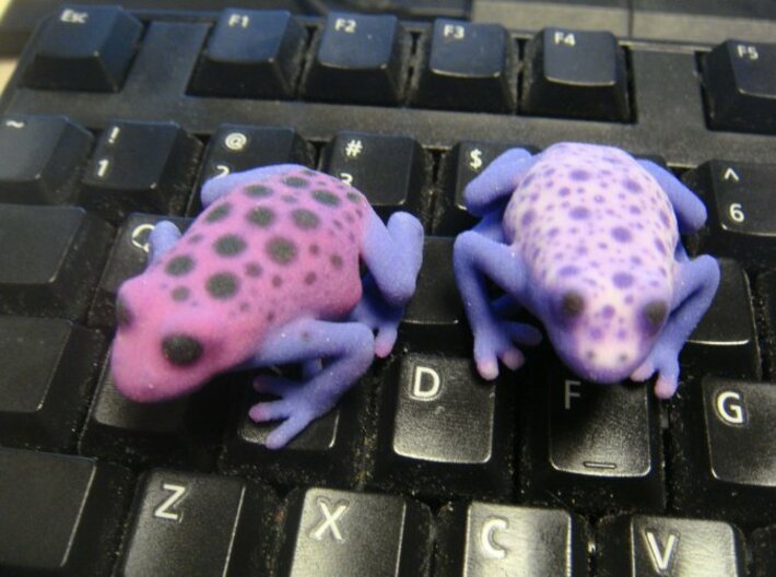 Purple Poison Dart Frog 3d printed 