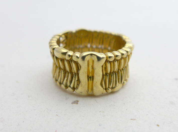 Cell Membrane Ring - Science Jewelry 3d printed Cell Membrane ring in polished brass