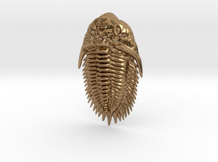 Trilobite Pendant 3d printed 