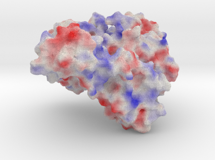 Proline tRNA Ligase 3d printed