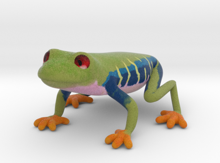 Red Eyed Tree Frog 3d printed