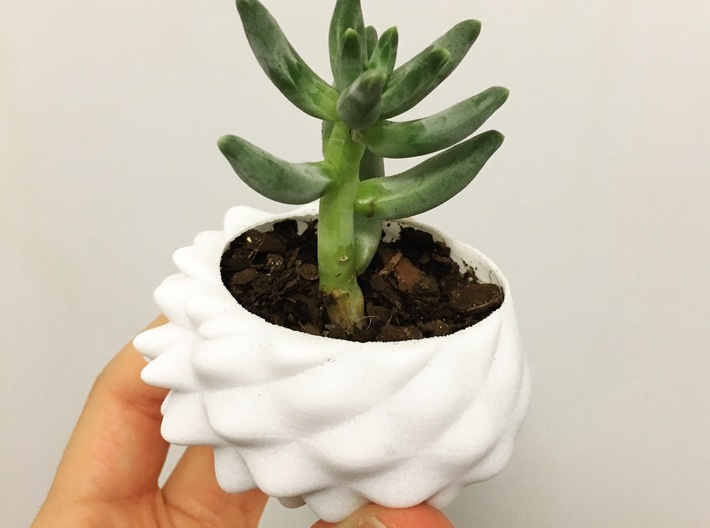 Bumpy Succulent Planter - Small 3d printed 'bumpy' planter - small version