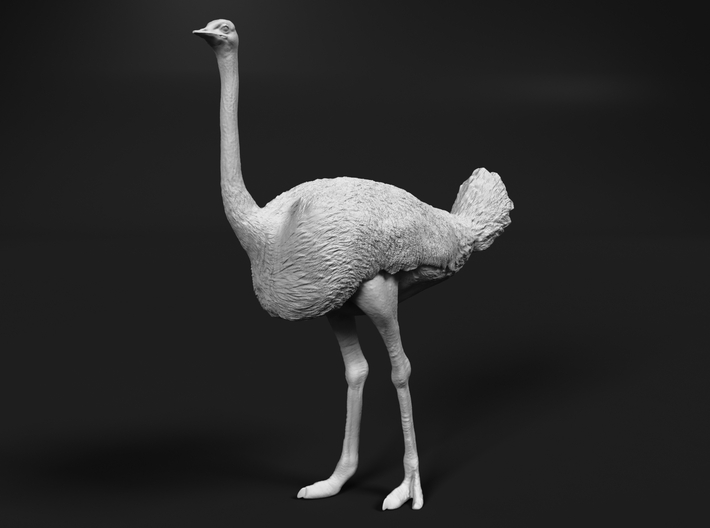 Ostrich 1:25 Standing Calm 3d printed 