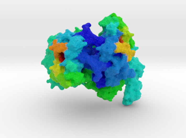 Cytochrome b6f Complex 3d printed