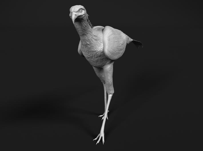 miniNature's 3D printing animals - Update January 5: multiple new models and appearance on Dutch tv - Page 2 710x528_19639526_11378039_1500934560