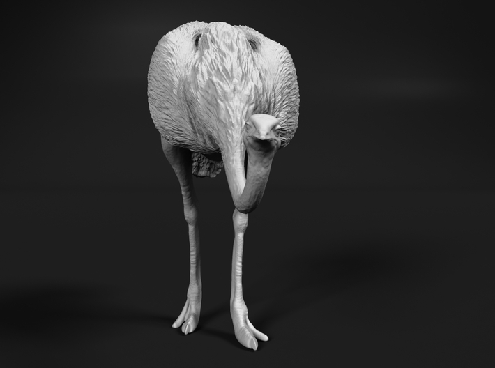 Ostrich 1:76 Head Down 3d printed 