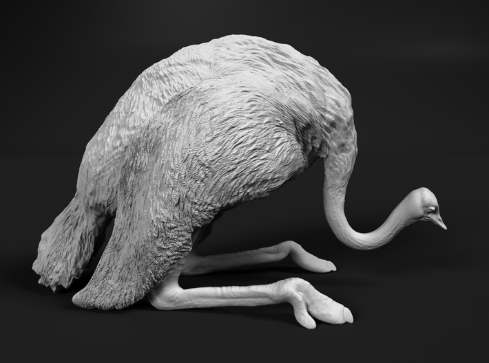 Ostrich 1:20 Guarding the Nest 3d printed