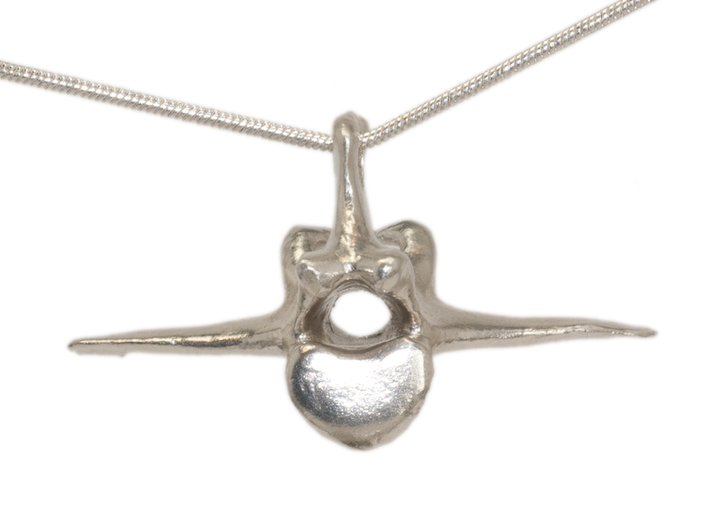 Vertebra #8 25mm with 3mm Hole  3d printed Sterling silver
