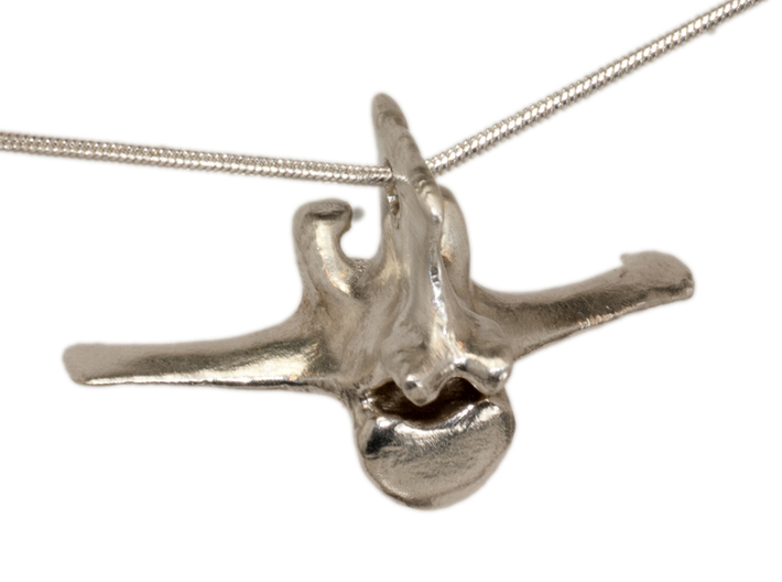Vertebra #8 40mm with 4mm Hole  3d printed sterling silver