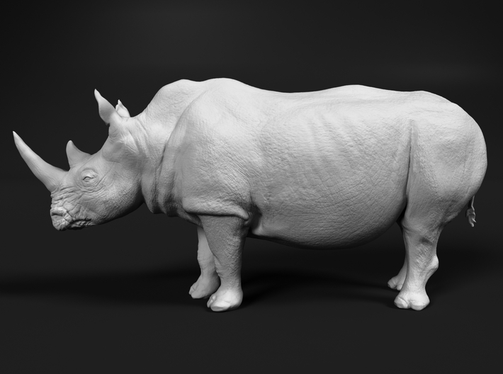 White Rhinoceros 1:12 Standing Male 3d printed 