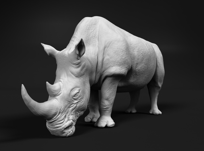 White Rhinoceros 1:45 Grazing Female 3d printed 