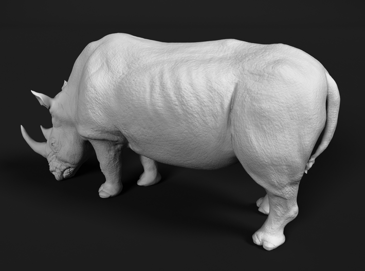 White Rhinoceros 1:9 Grazing Female 3d printed 