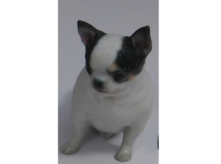 Scanned Chihuahua Dog -887 3d printed 
