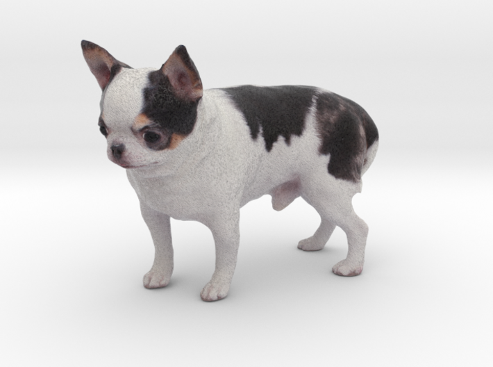 Scanned Chihuahua Dog -889 3d printed