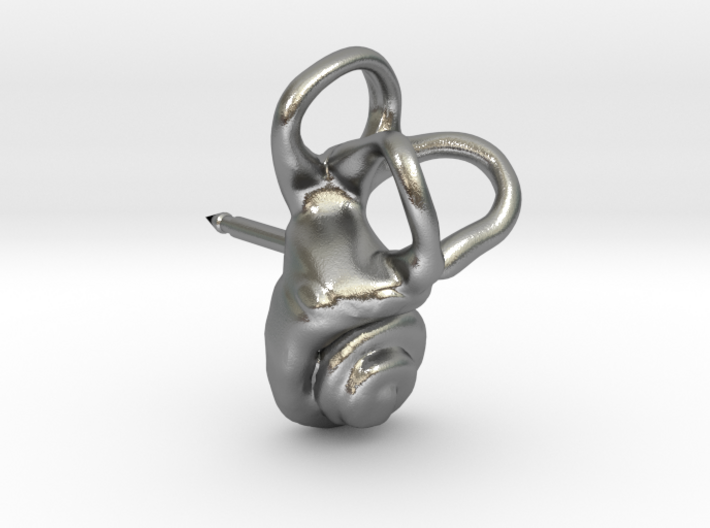 Inner Ear (Cochlea) Lapel Pin - RIGHT sided 3d printed