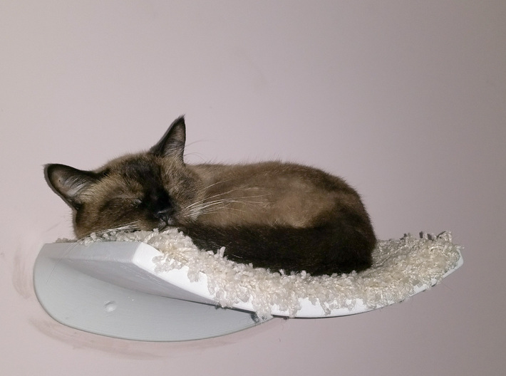 Exponential Cuteness Cat Shelf 3d printed 