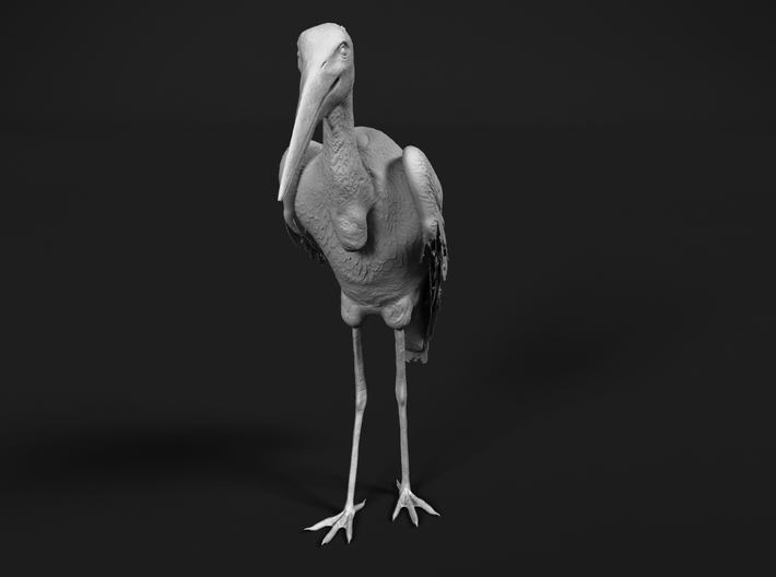 Marabou Stork 1:6 Standing 3d printed 