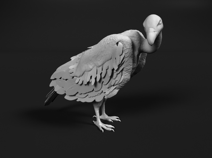 White-Backed Vulture 1:32 Standing 2 3d printed